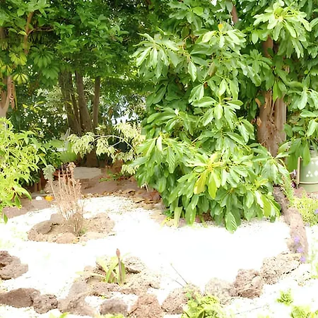 Charming House In With Shared Pool Hébergement de vacances La Laguna (Tenerife)