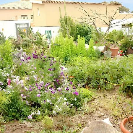 Hébergement de vacances Charming House In With Shared Pool *